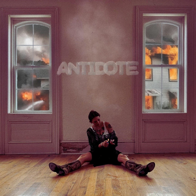 Front album artwork of Antidote by Sam Fisher