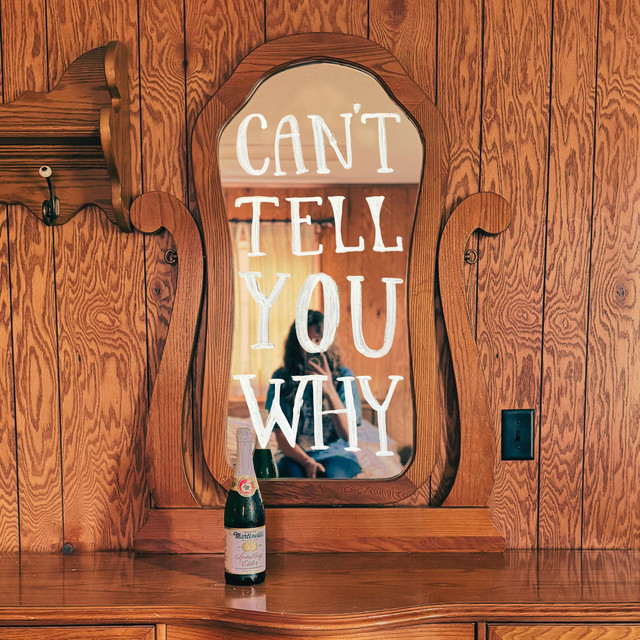 Front album artwork of Can't Tell You Why by Sam Fisher